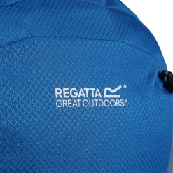 Britedale 20L Backpack | Imperial Blue