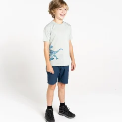 Dare 2b - Kids' Amuse II T-Shirt | Aqua Grey