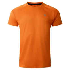 Dare 2b - Men's Accelerate Fitness T-Shirt | Spicy Route