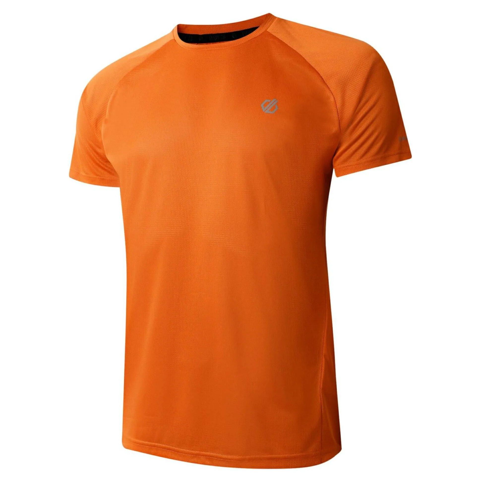 Dare 2b - Men's Accelerate Fitness T-Shirt | Spicy Route