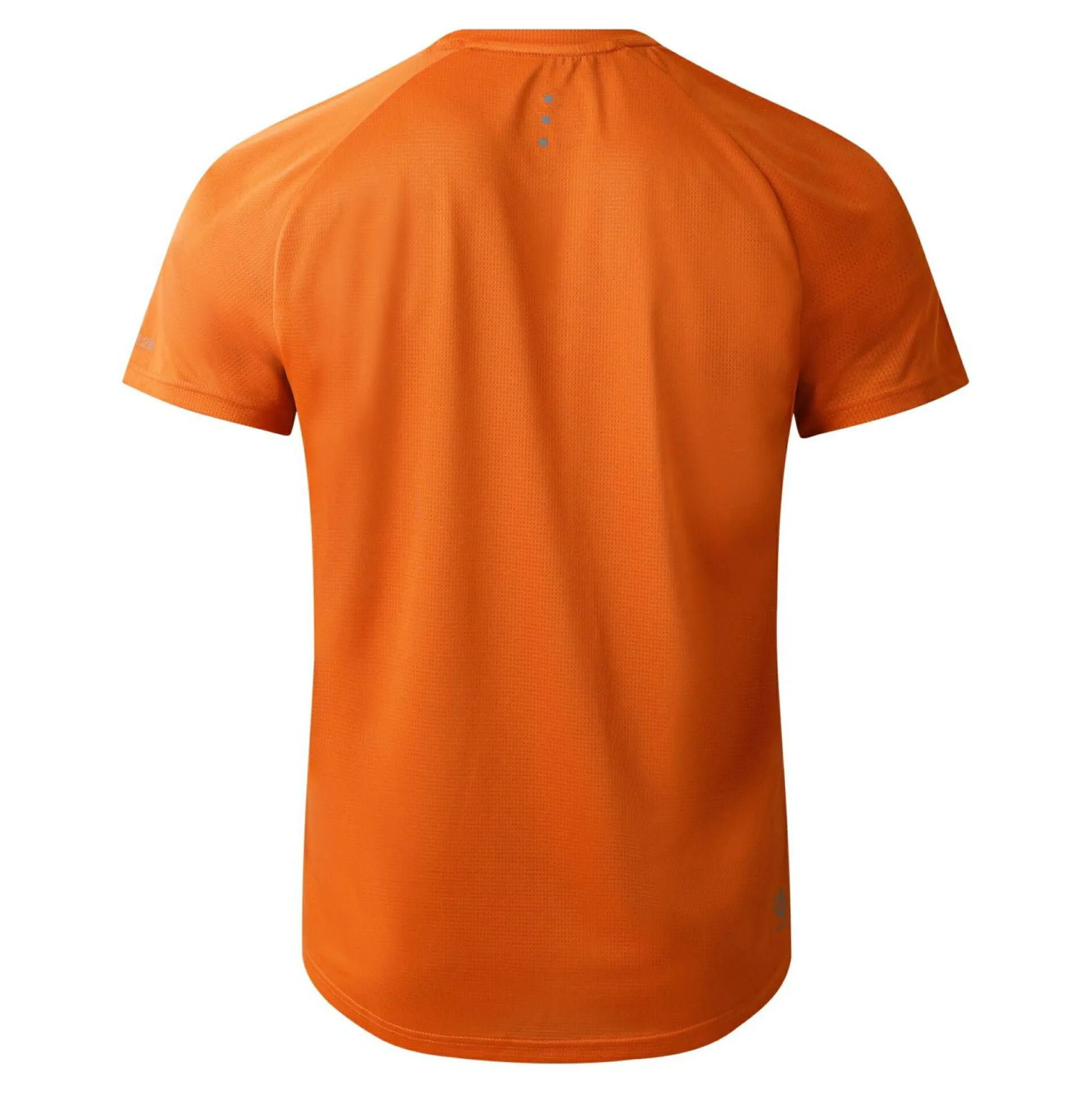 Dare 2b - Men's Accelerate Fitness T-Shirt | Spicy Route