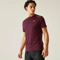 Dare 2b - Men's Accelerate Fitness T-Shirt | Fig