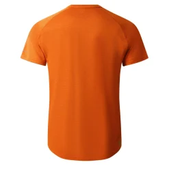 Dare 2b - Men's Persist T-Shirt | Spicy Route Marl