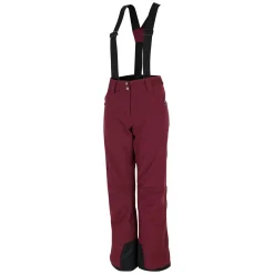 Dare 2b - Women's Diminish Waterproof Insulated Ski Pants | Fig