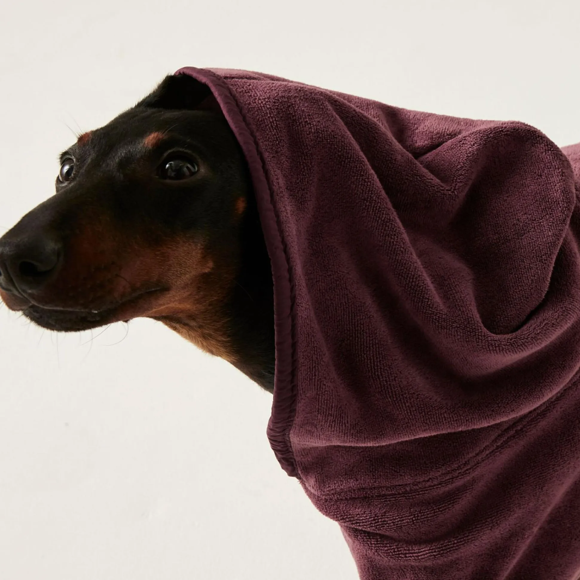 Dog Drying Coat | Claret
