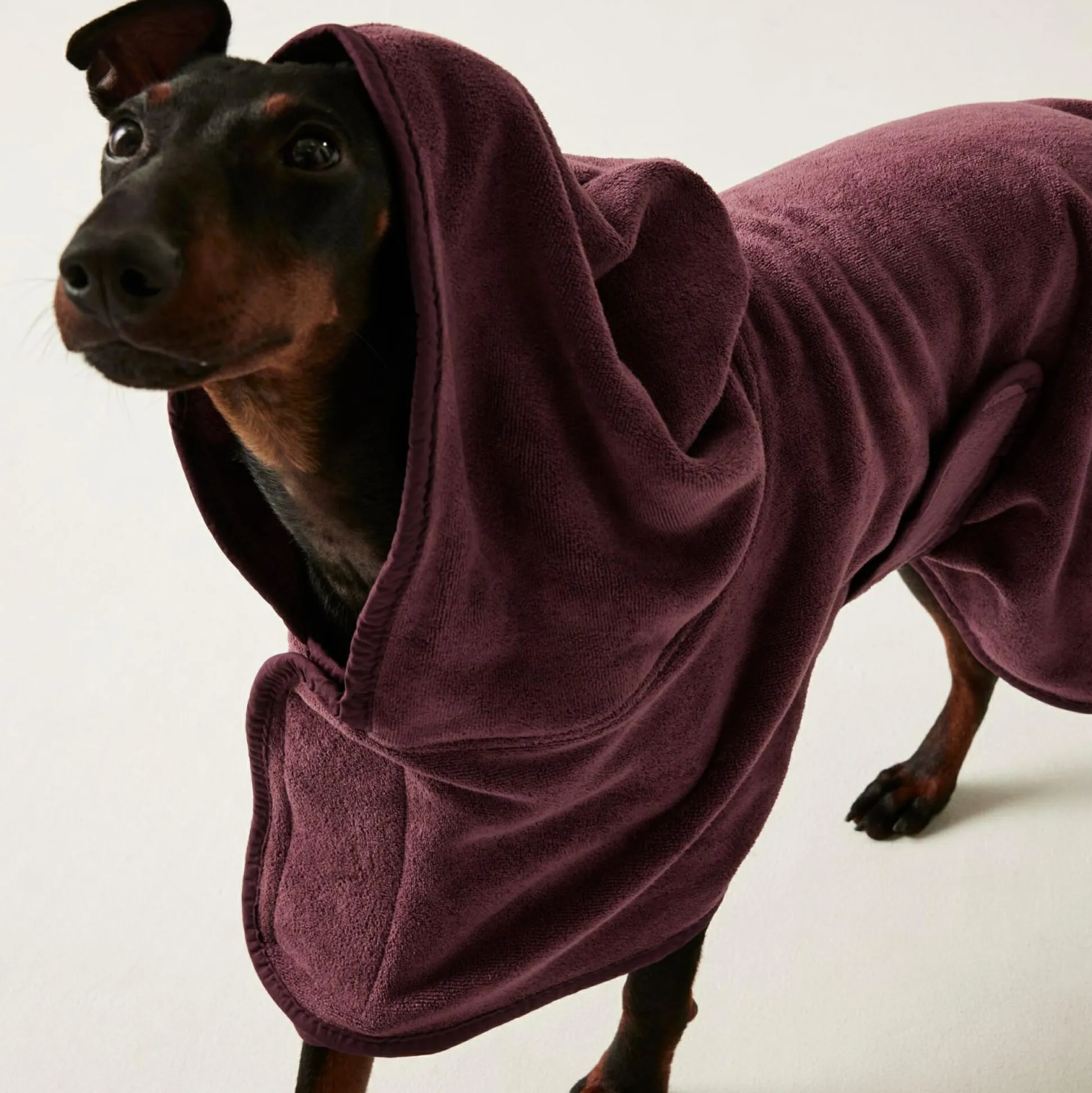 Dog Drying Coat | Claret