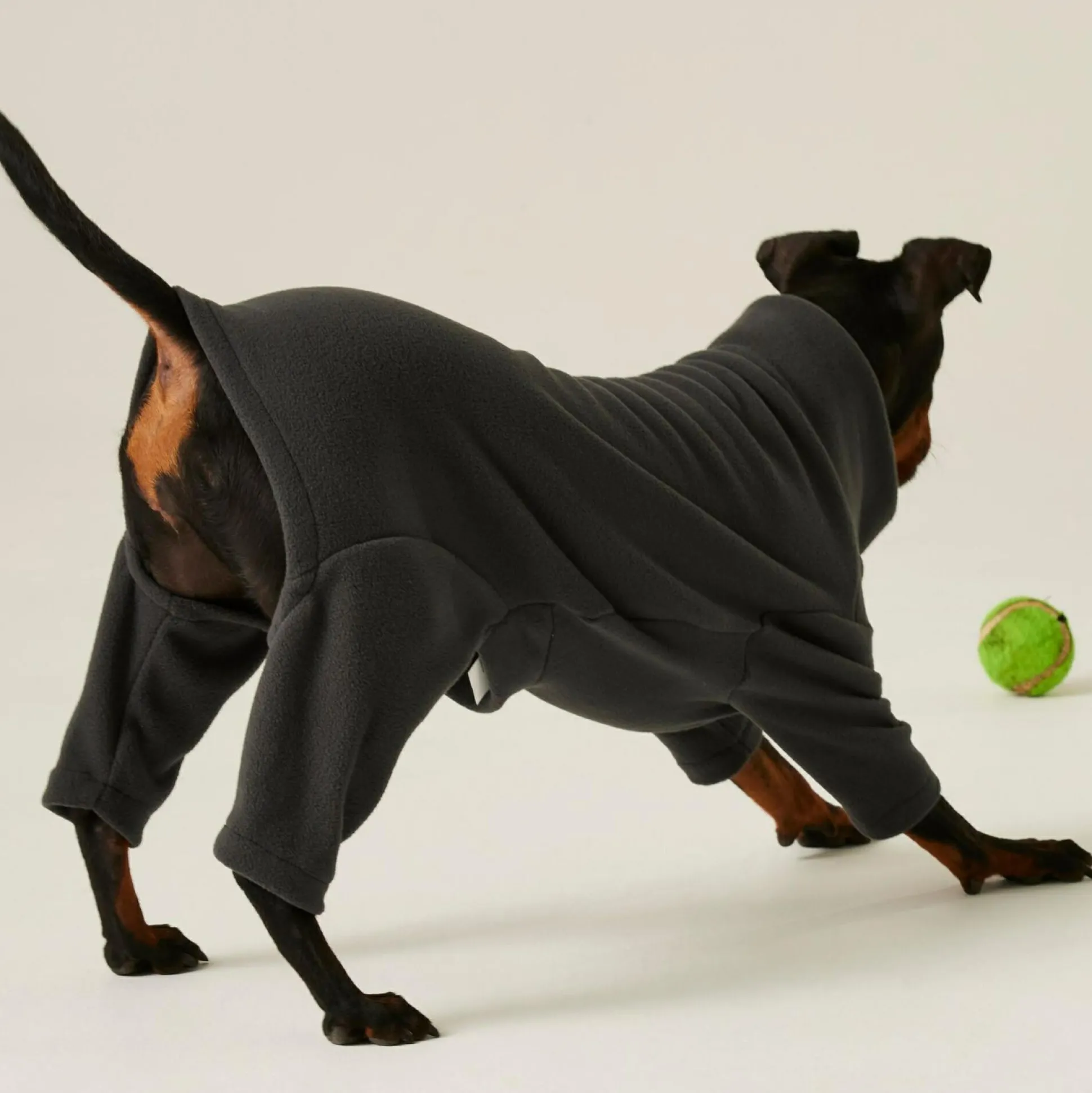 Dog Mud Suit | Ash Grey