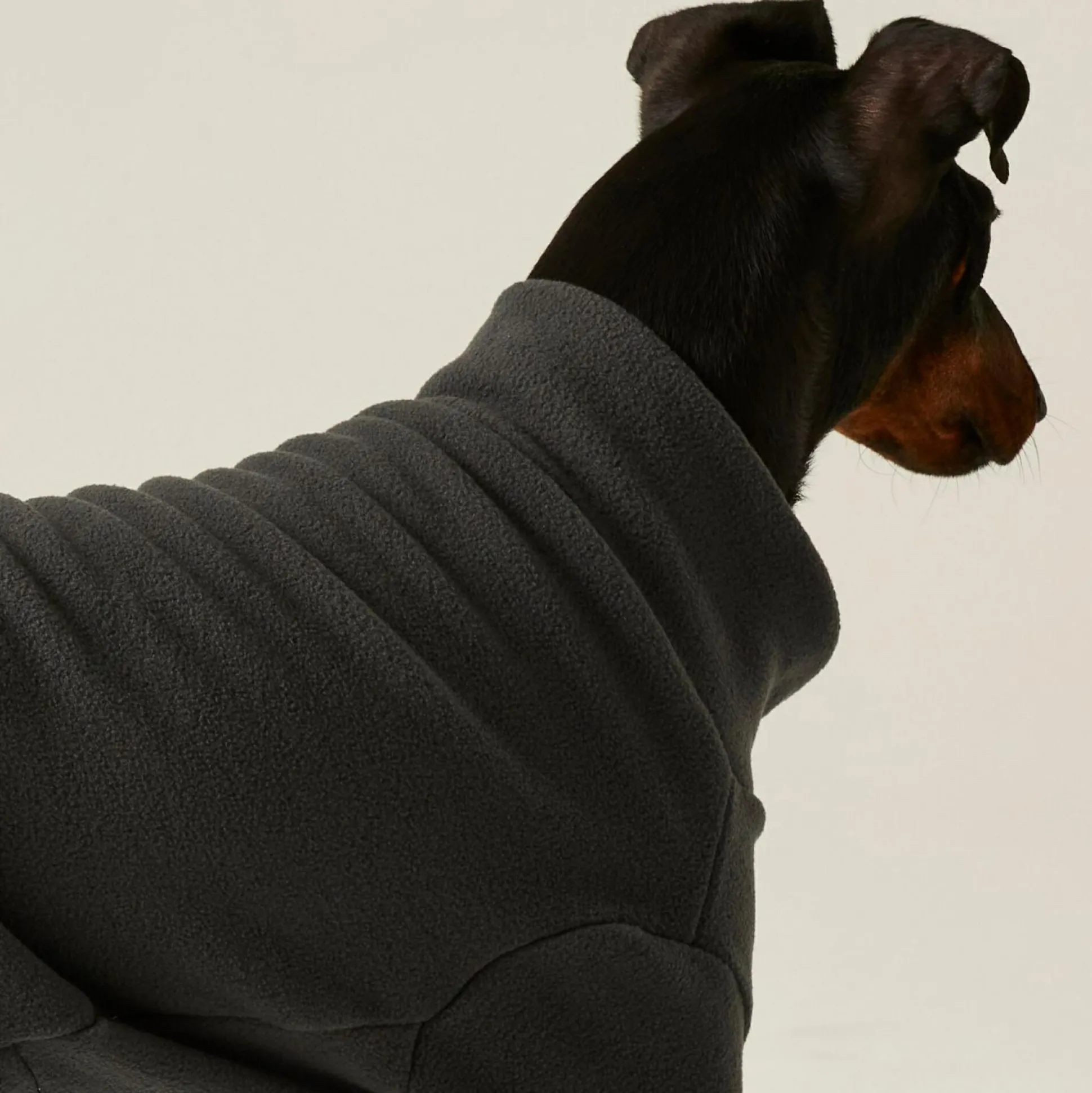 Dog Mud Suit | Ash Grey
