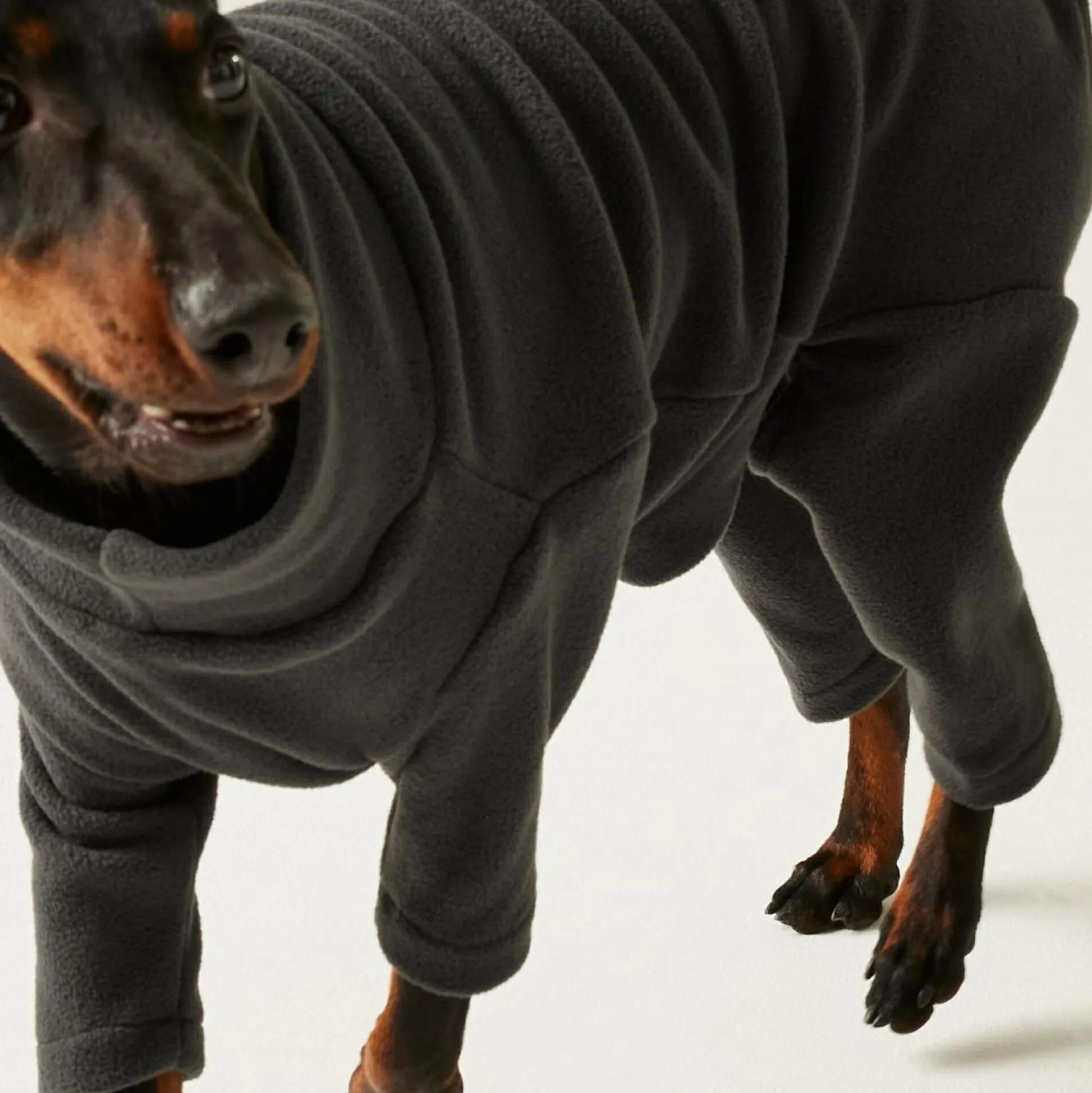 Dog Mud Suit | Ash Grey