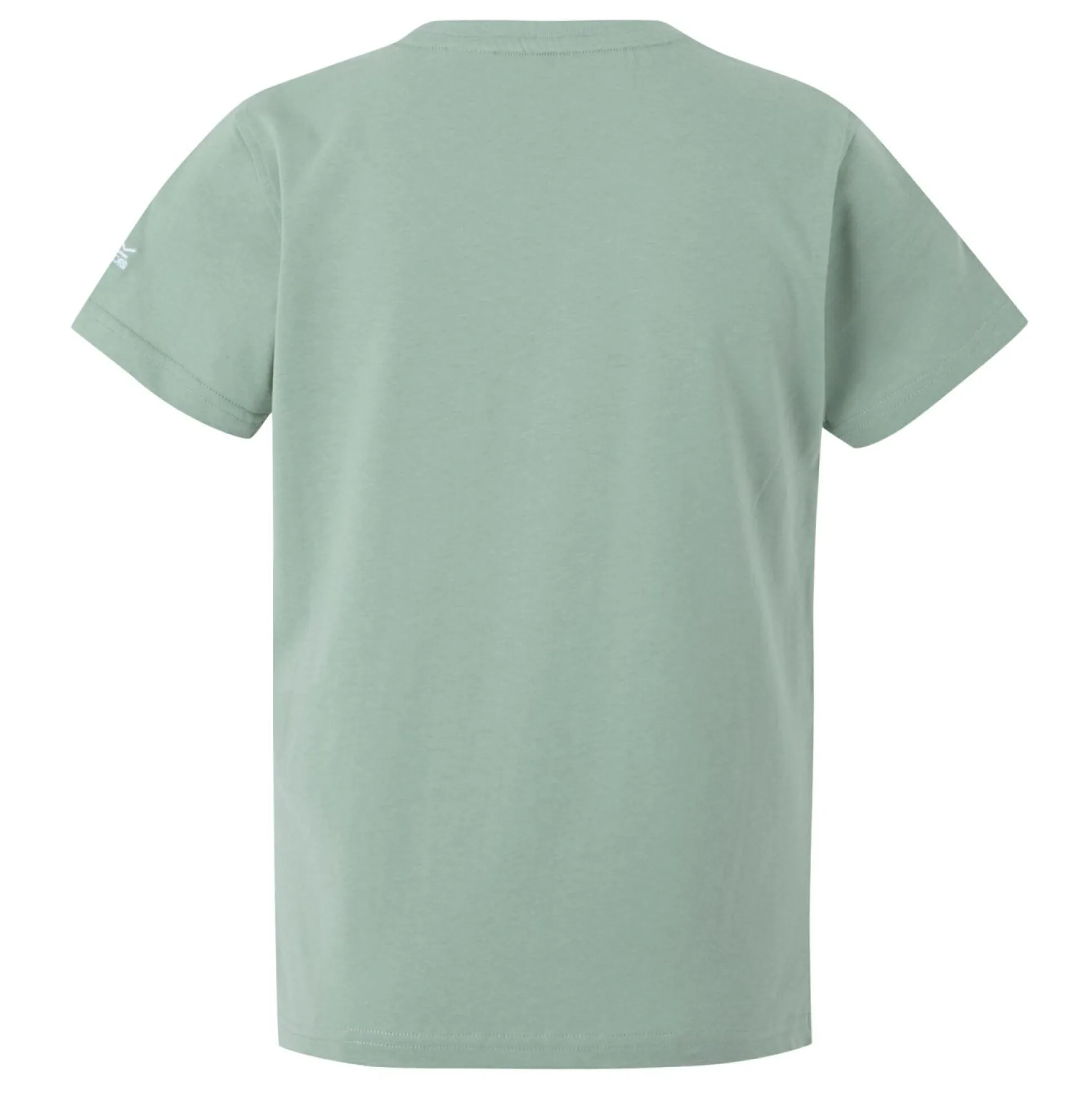 Kids' Bosley VIII T-Shirt | Glacier