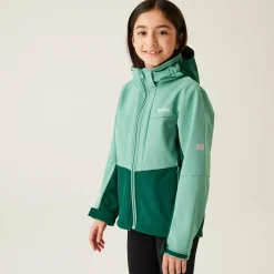 Kids' Haydenbury II Softshell Jacket | Dusty Green Rain Forest Green