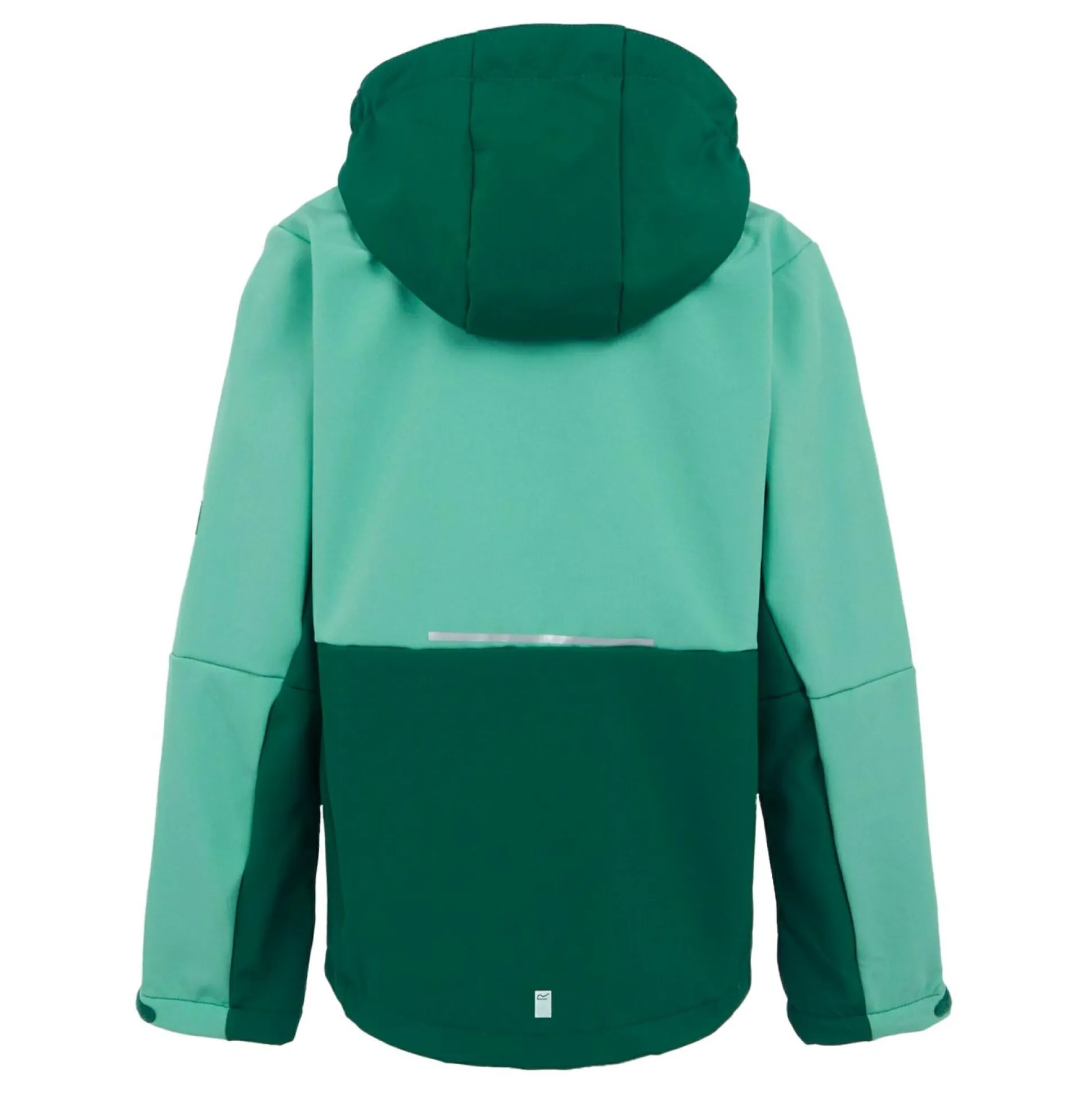 Kids' Haydenbury II Softshell Jacket | Dusty Green Rain Forest Green