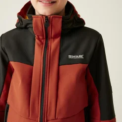 Kids' Haydenbury II Softshell Jacket | Red Ochre Black
