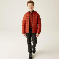 Kids' Hooded Marizion Baffled Jacket | Red Ochre Fox
