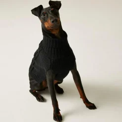 Knitted Dog Jumper | Black