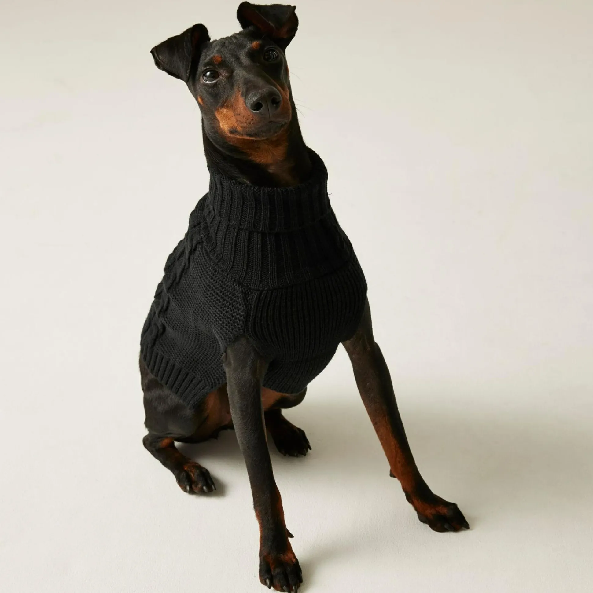 Knitted Dog Jumper | Black