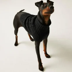 Knitted Dog Jumper | Black
