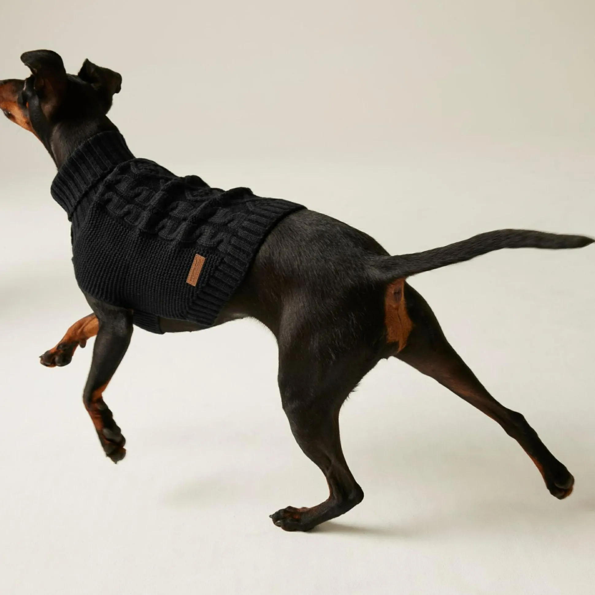 Knitted Dog Jumper | Black