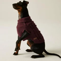 Knitted Dog Jumper | Claret