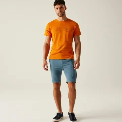 Men's Bendrick Shorts | Stormy Weather