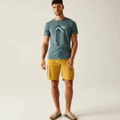 Men's Breezed V T-Shirt | Stormy Weather