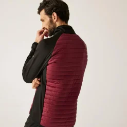 Men's Clumber Hybrid Jacket | Dark Maroon Black