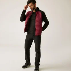 Men's Clumber Hybrid Jacket | Dark Maroon Black