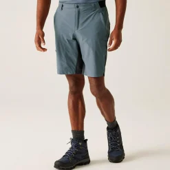 Men's Eldes Walking Shorts  | Stormy Weather Ash