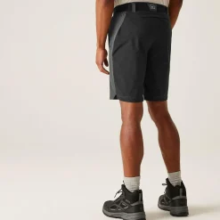 Men's Eldes Walking Shorts  | Ash Black