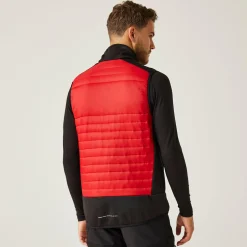 Men's E-Volve Thermal Hybrid Bodywarmer | Classic Red Black