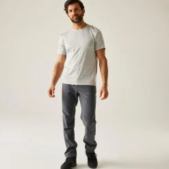 Men's Fenton Softshell Walking Trousers | Seal Grey
