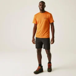 Men's Fingal IX T-Shirt | Fox