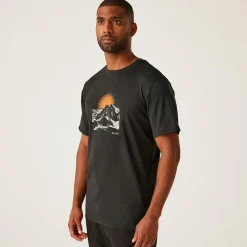 Men's Fingal Stretch T-shirt | Ash