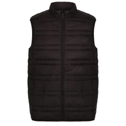 Men's Firedown Down Touch Insulated Bodywarmer | Black
