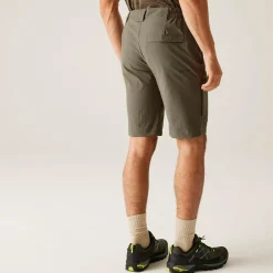 Men's Highton II Long Walking Shorts  | Treetop