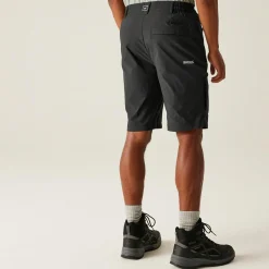 Men's Highton II Long Walking Shorts  | Ash
