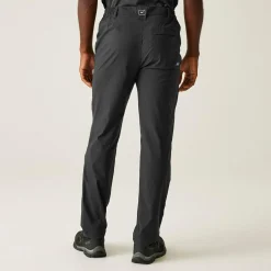 Men's Highton II Walking Trousers | Ash