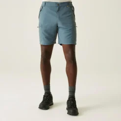 Men's Leesville III Walking Shorts | Stormy Weather