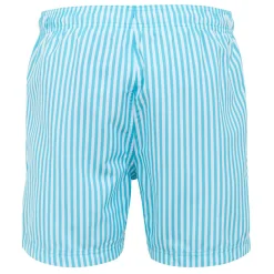 Men's Loras Swim Shorts | Aquarius Blue Stripe