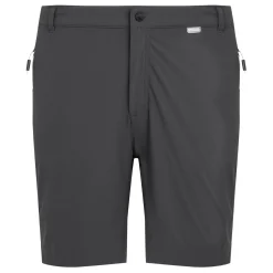 Men's Mountain II Walking Shorts | Ash Black