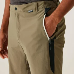 Men's Mountain II Walking Shorts | Treetop Black