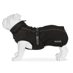 Softshell Dog Coat | Black