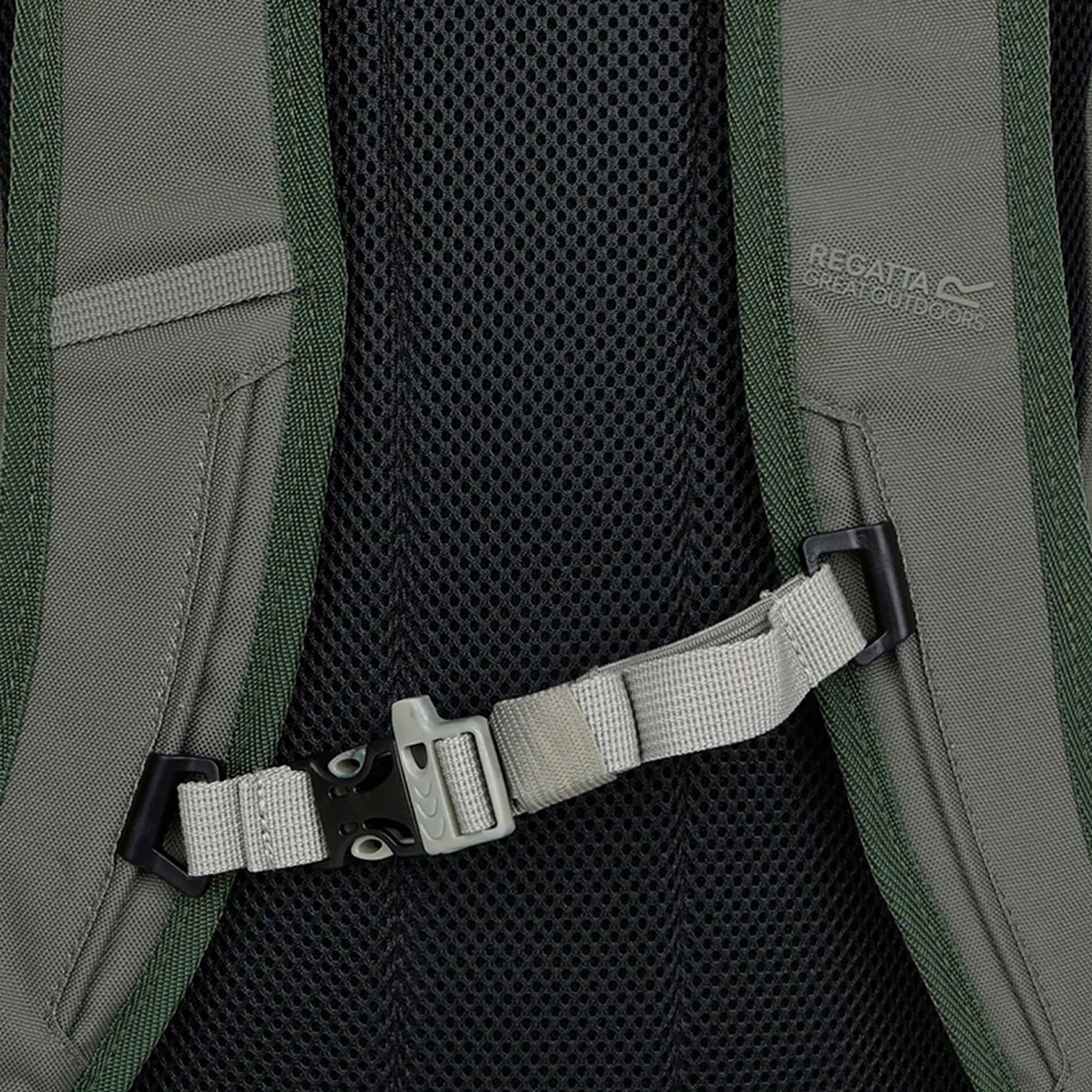 Survivor V 25L Backpack | Green