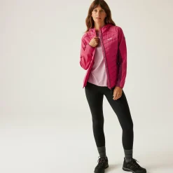 Women's Andreson VIII Hybrid Jacket | Pop/Beaujolais
