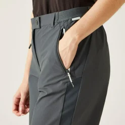 Women's Mountain II Walking Shorts | Seal Grey